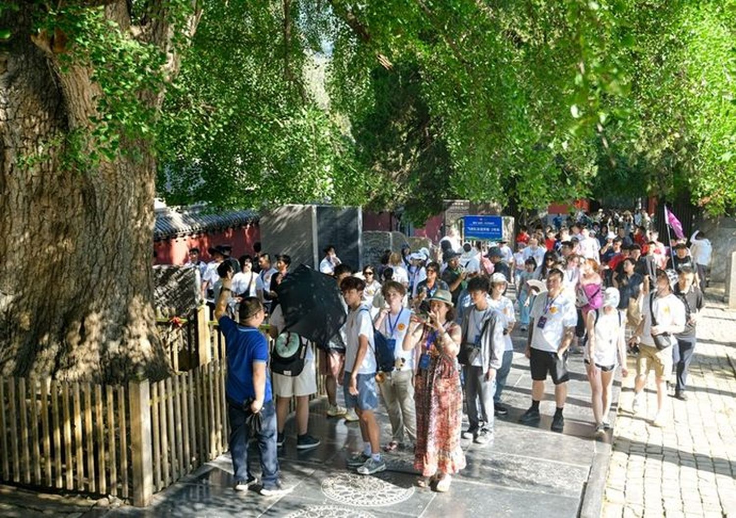 豫見飛虎情 美國青少年代表河南行