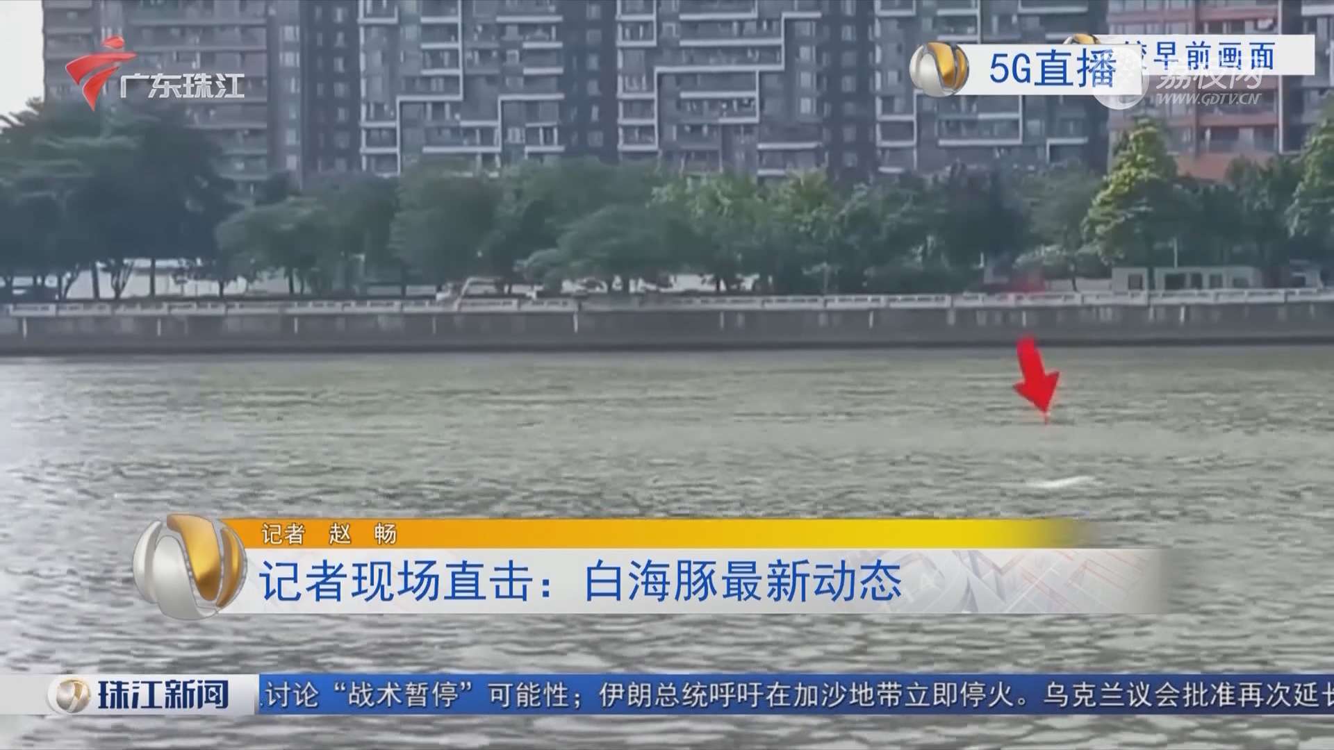 全力應對台風“白海豚” 河南災後理賠有序推進
