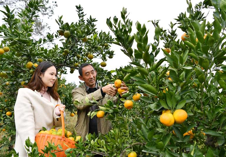 河南如何挖掘森林宝库？