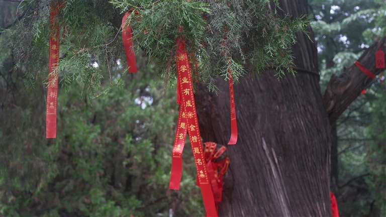一个苏东坡吸引多少人回“郏”(人文郏县 此心安处是郏乡)