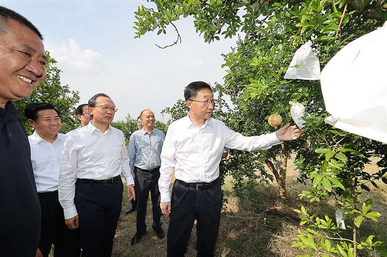 刘宁:持续巩固拓展学习教育成果 统筹做好乡村振兴秋粮生产工作