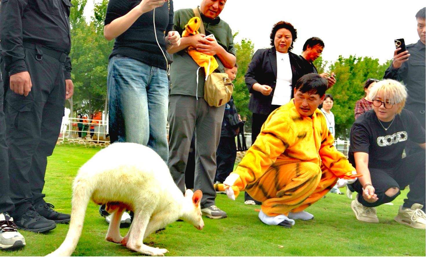 南陽野生動物世界開園 遛娃新地標 一鍵解鎖自然課堂