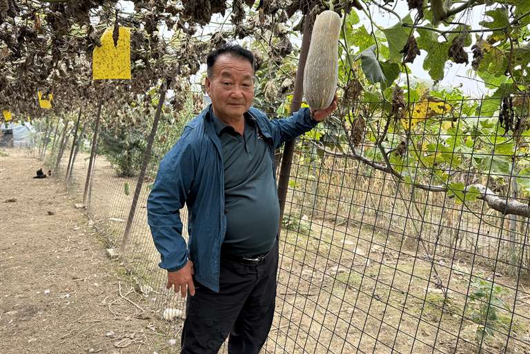 紮根葉縣十四載 一田青綠兩岸情 “台灣哥”黃台灣的“河南田園夢”